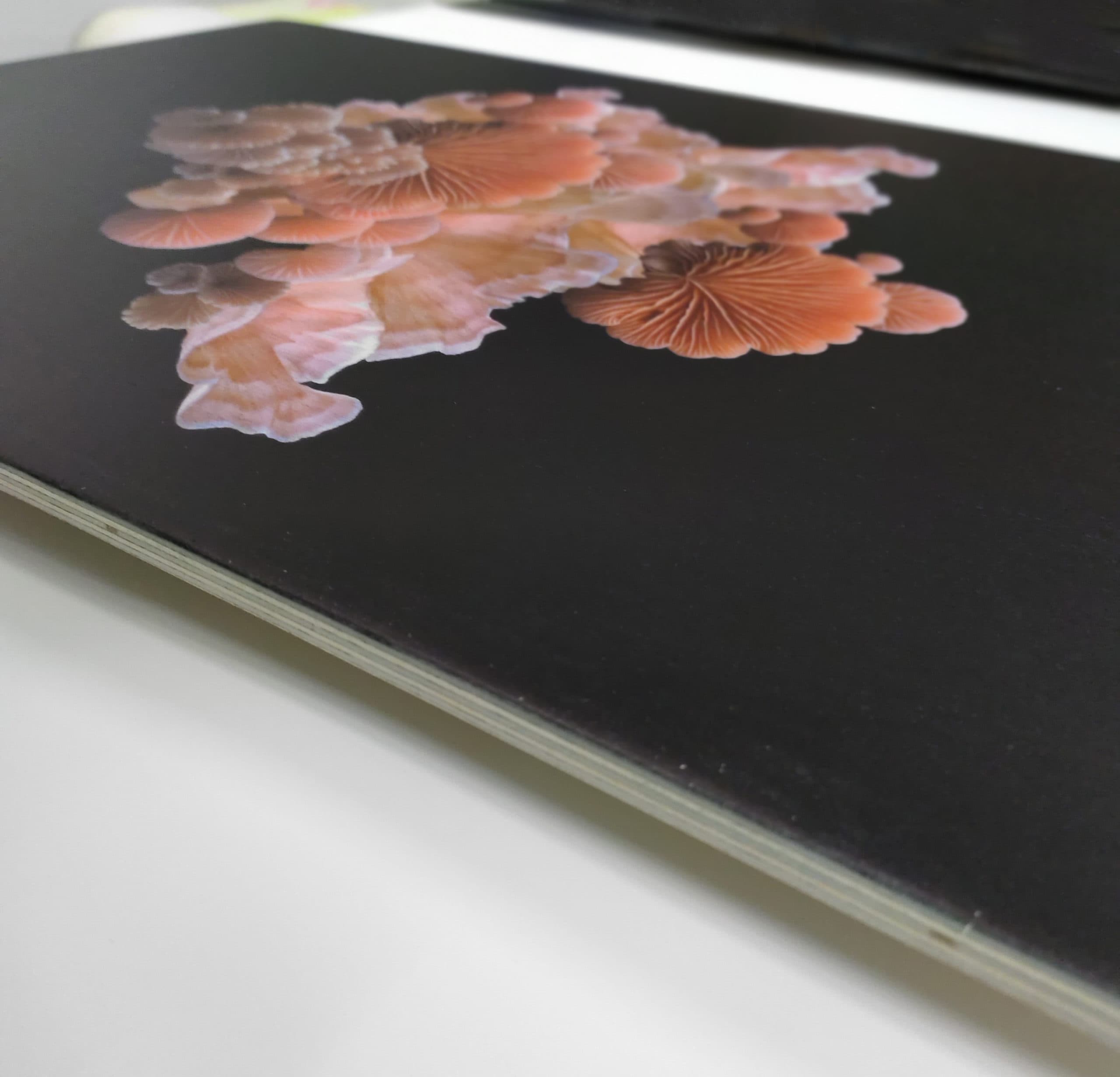 Botanical mushroom art prints on wood โ artwork by Sharlene Durfey